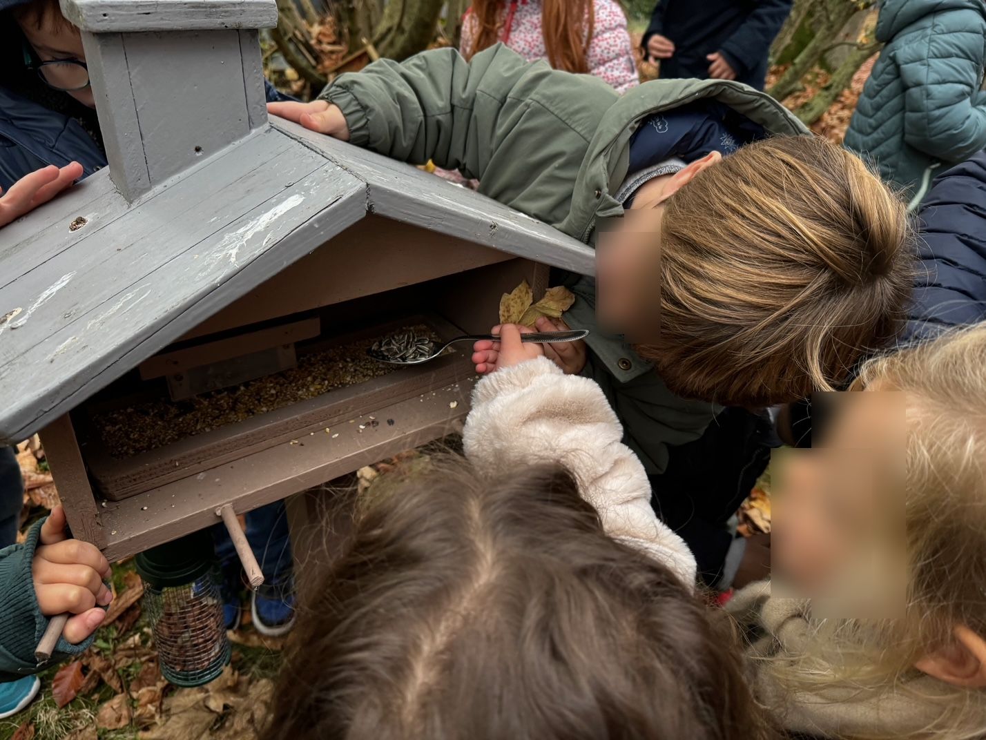 You are currently viewing Les élèves de maternelle nourrissent les oiseaux avec Monsieur Senez